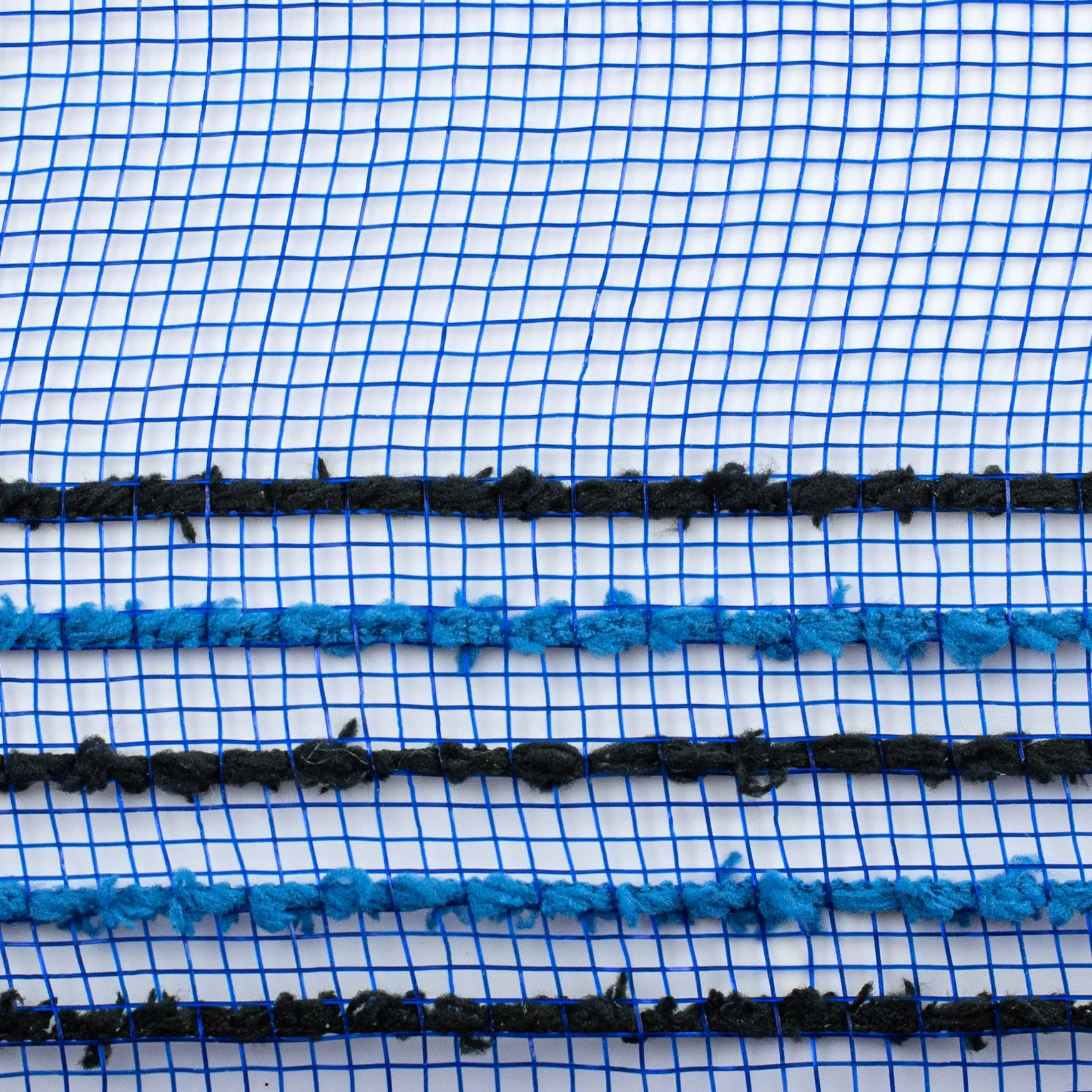 10" Border Stripe Snowdrift Mesh: Royal Blue, Blue, Black