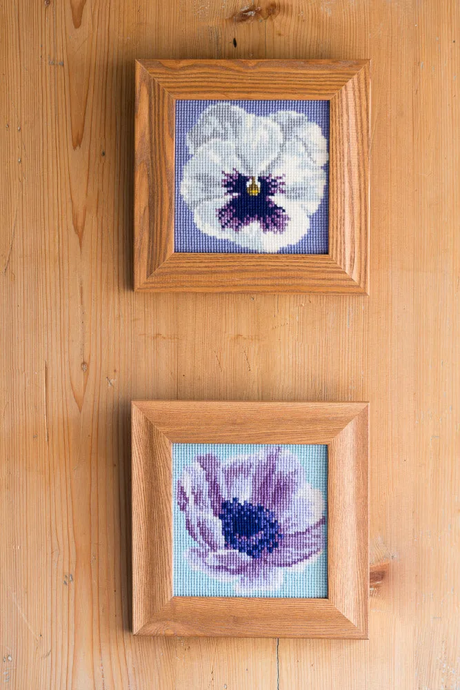 Anemone Mini Kit
