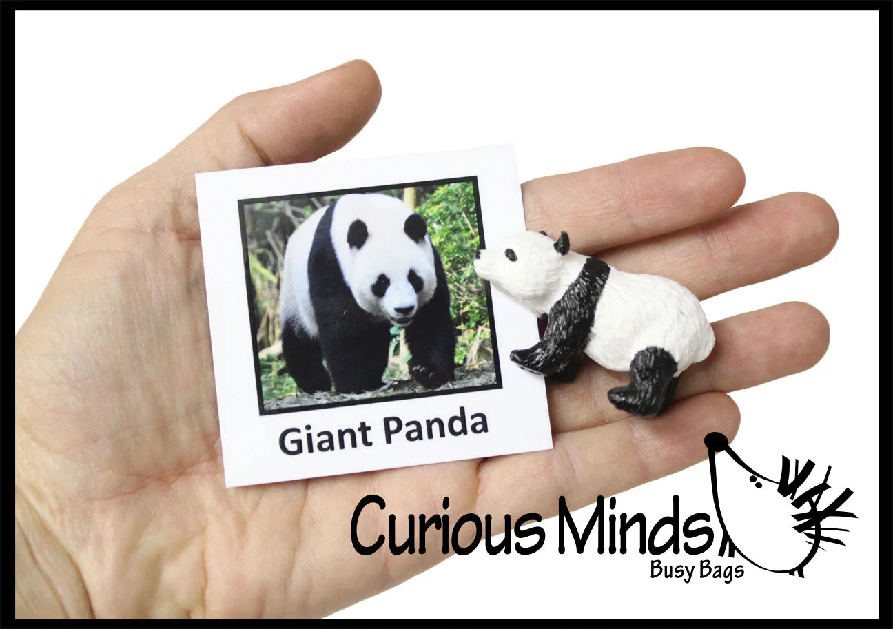 Animal Match - ENDANGERED SPECIES - Miniature Animals with Matching Cards - 2 Part Cards.  Montessori learning toy, language materials