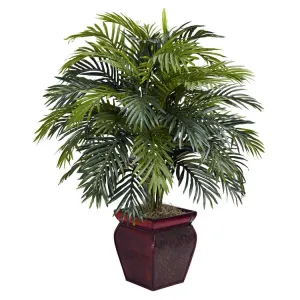 Areca with Decorative Planter