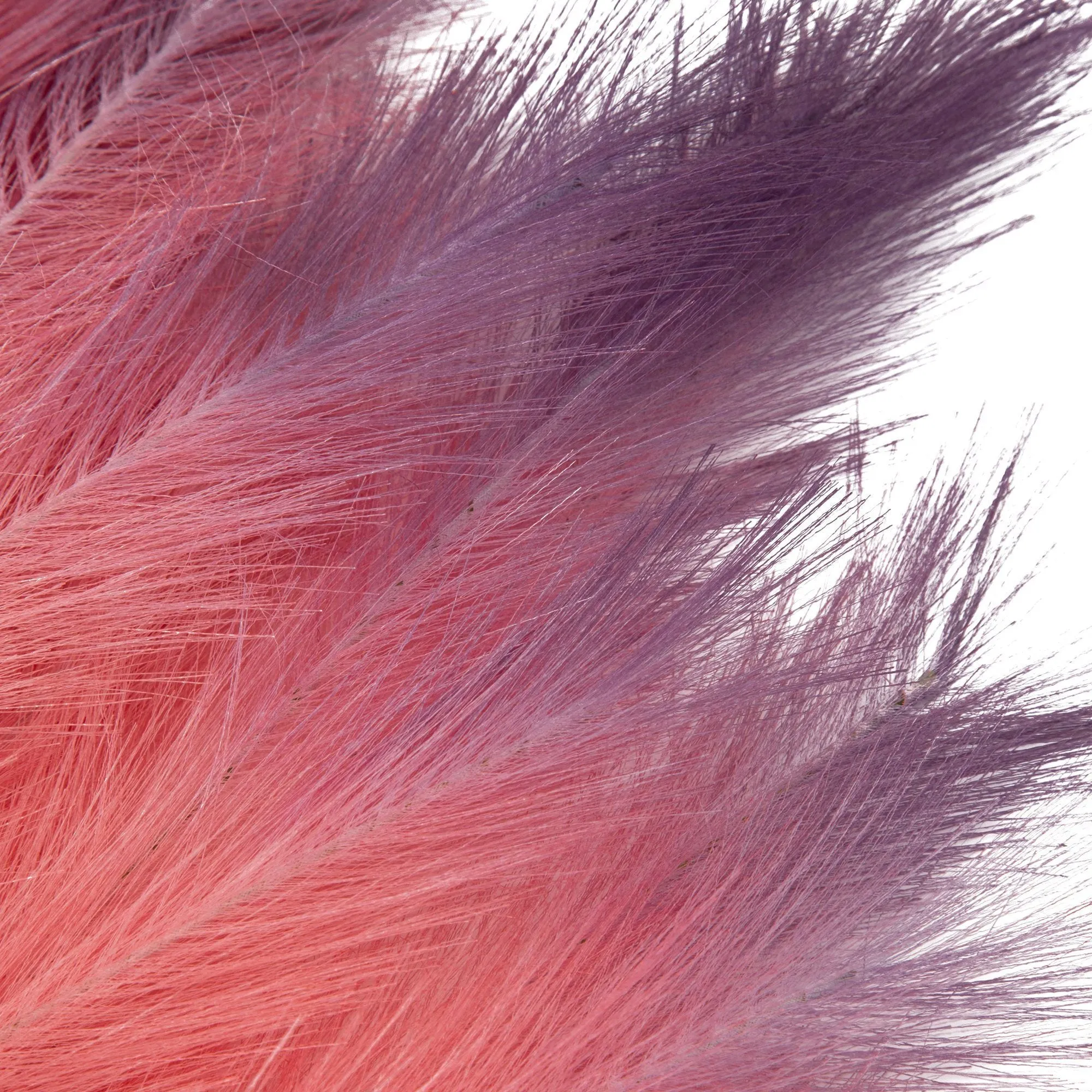 Art Plants Pampas Pink  X Purple