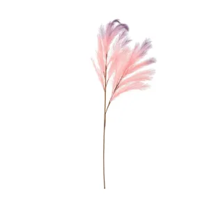 Art Plants Pampas Pink  X Purple