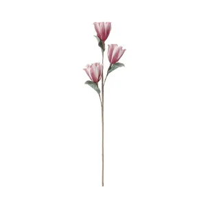 Artplants Flower  Red