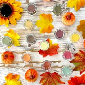Autumn Harvest Edible Luster Dust Set