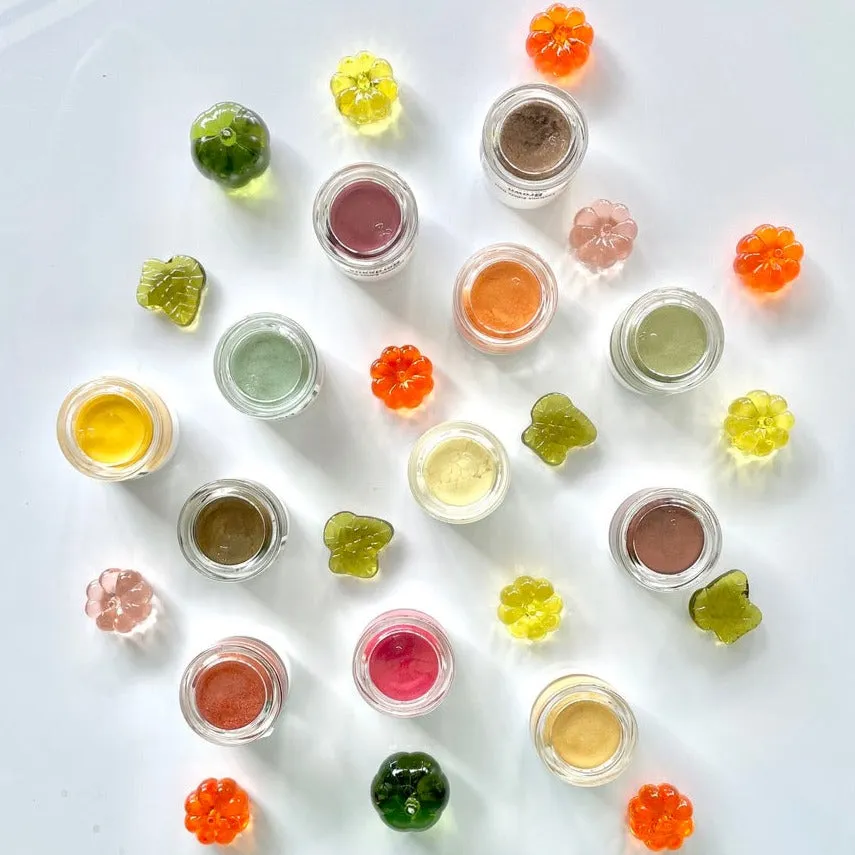 Autumn Harvest Edible Luster Dust Set