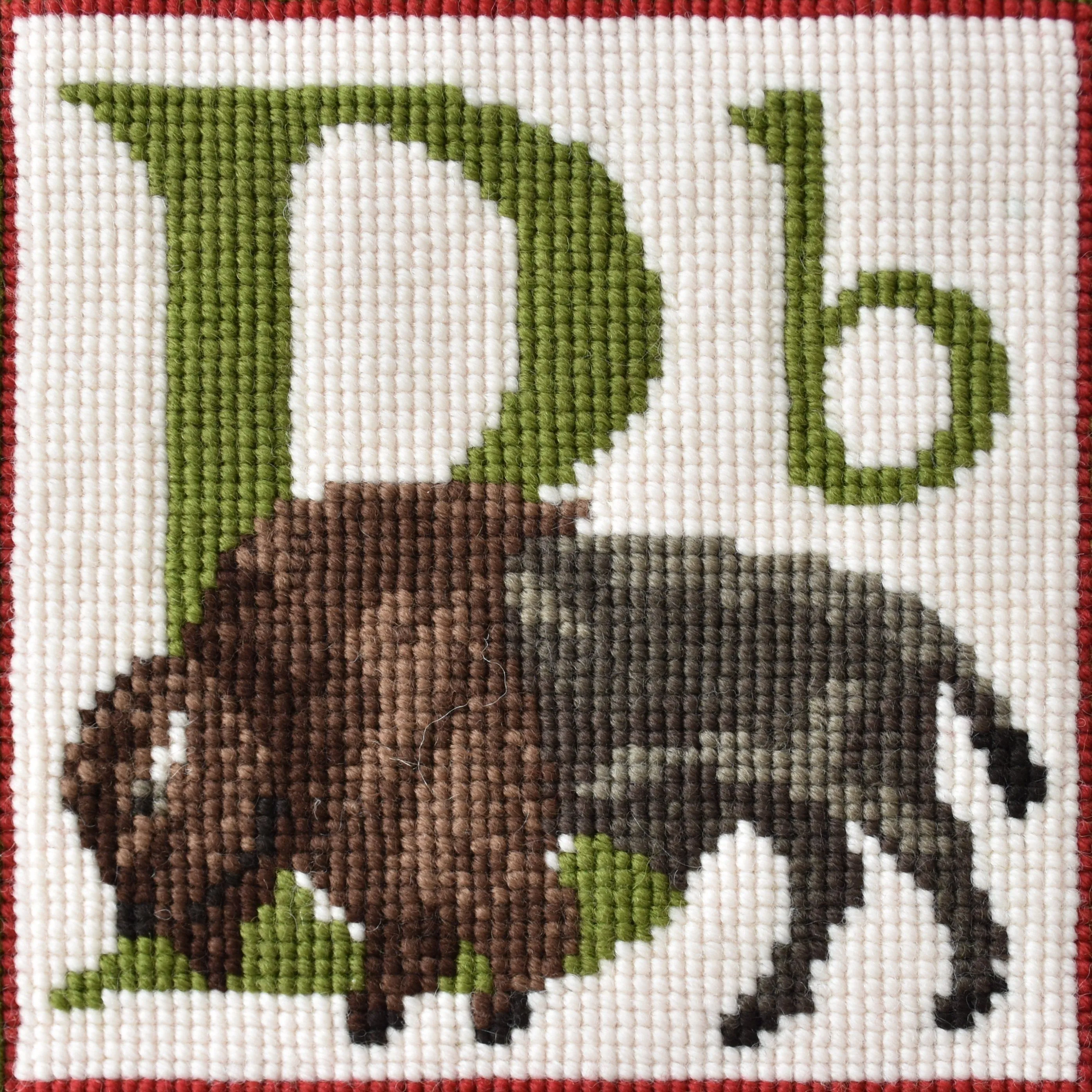 B-Buffalo