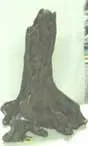 DECOR TREE ROOT SM