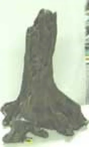 DECOR TREE ROOT SM