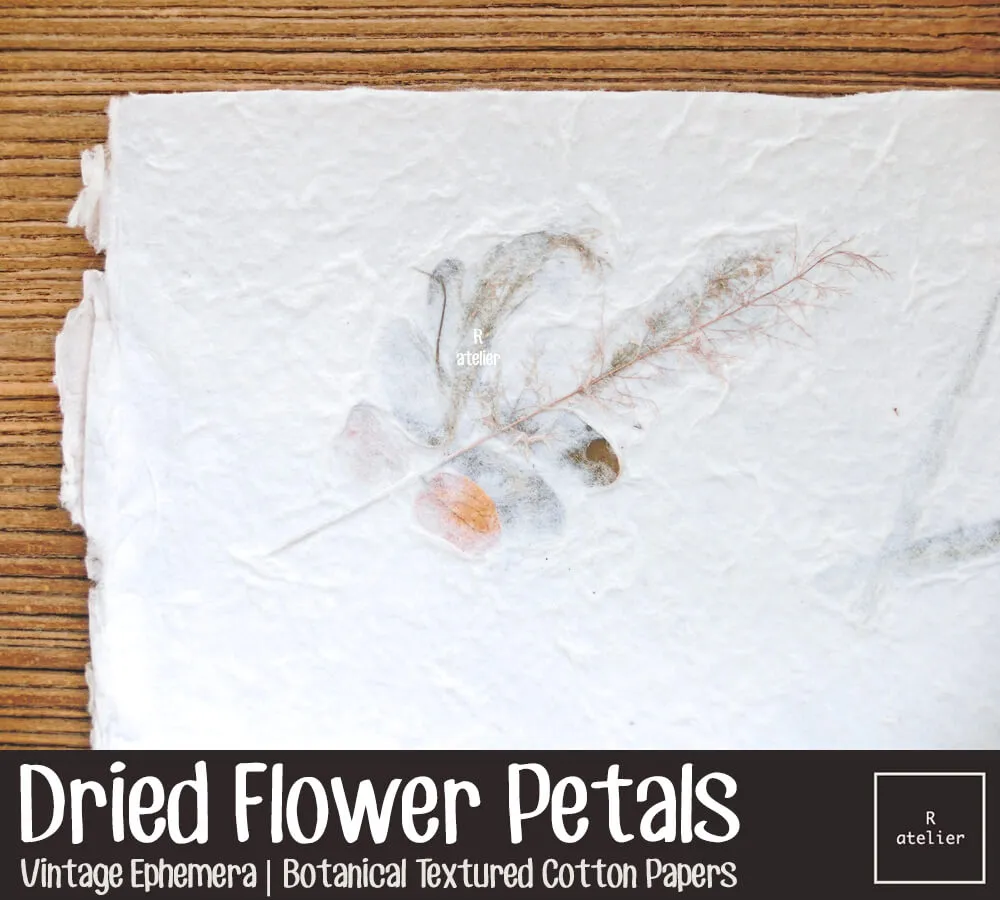 Dried Flower Petals (1) | Scrapbooking Paper