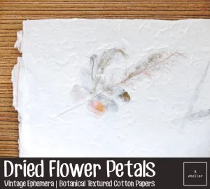 Dried Flower Petals (1) | Scrapbooking Paper