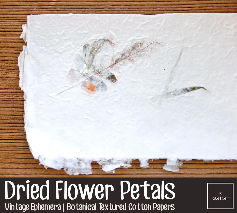 Dried Flower Petals (1) | Scrapbooking Paper