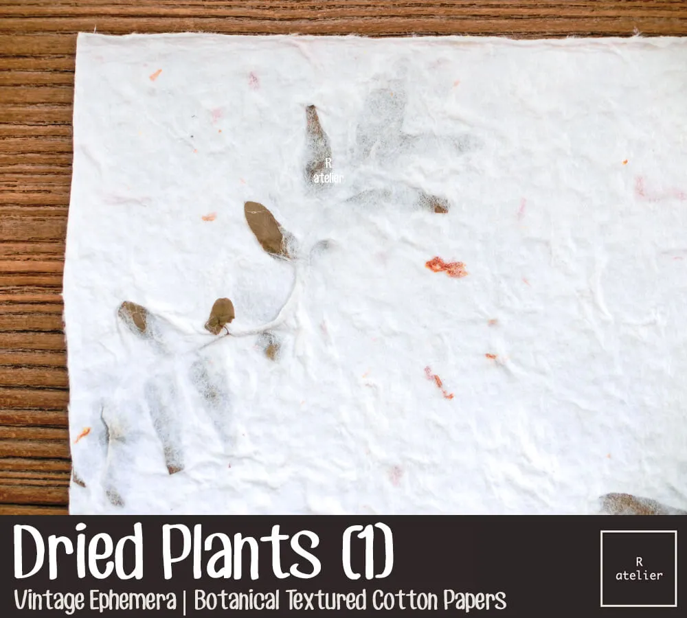 Dried Flower Plants | Scrapbooking Paper