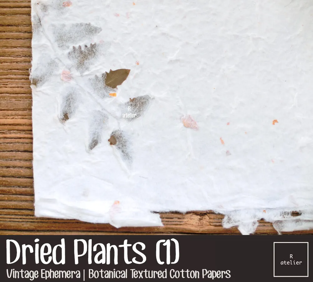 Dried Flower Plants | Scrapbooking Paper