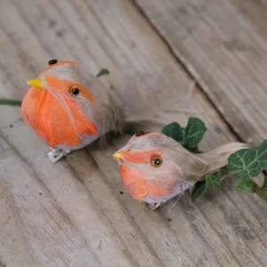 Feather Robin Decoration