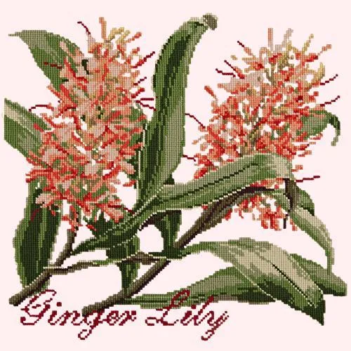 Ginger Lily