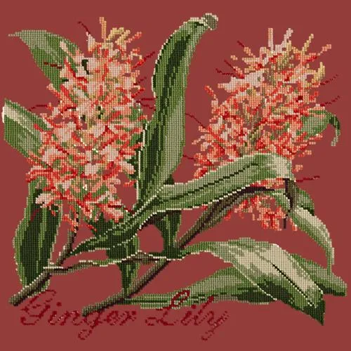 Ginger Lily