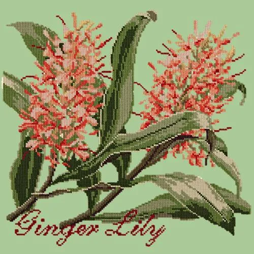 Ginger Lily