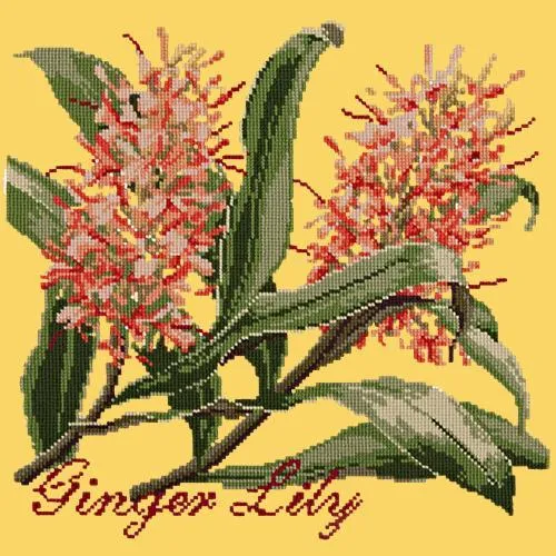 Ginger Lily