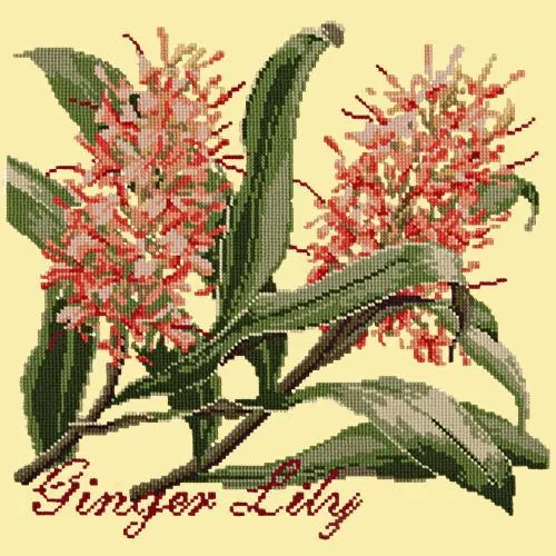 Ginger Lily