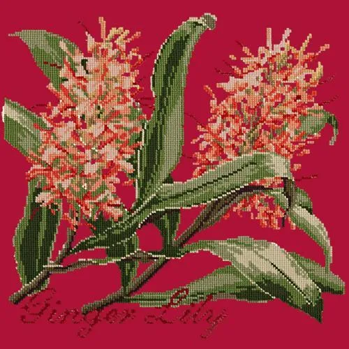 Ginger Lily