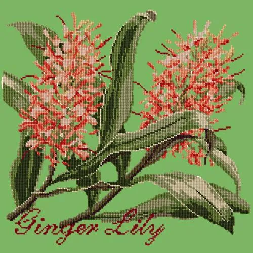 Ginger Lily