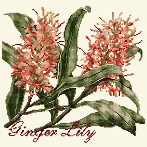 Ginger Lily