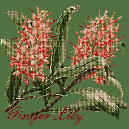 Ginger Lily