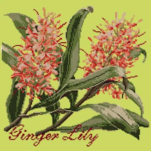 Ginger Lily