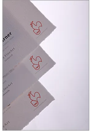 Hahnemuhle - William Turner 310 gsm, DeckleEdge 17"x22", 25 sheets (Special Order)