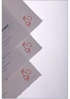 Hahnemuhle - William Turner 310 gsm, DeckleEdge 8.5"x11", 25 sheets (Special Order)