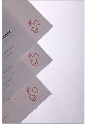 Hahnemuhle - William Turner 310 gsm, DeckleEdge 8.5"x11", 25 sheets (Special Order)