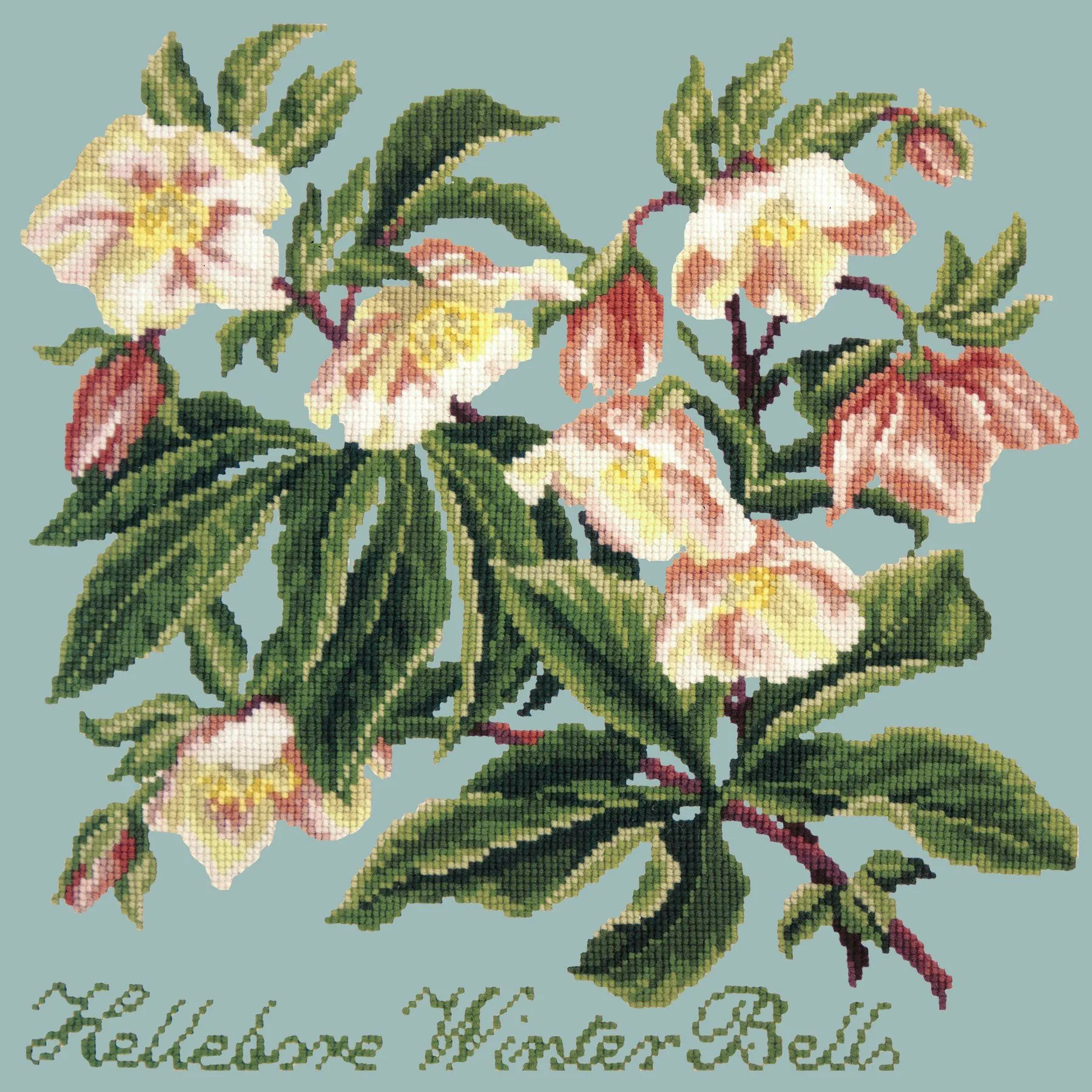 Hellebore Winter Bells