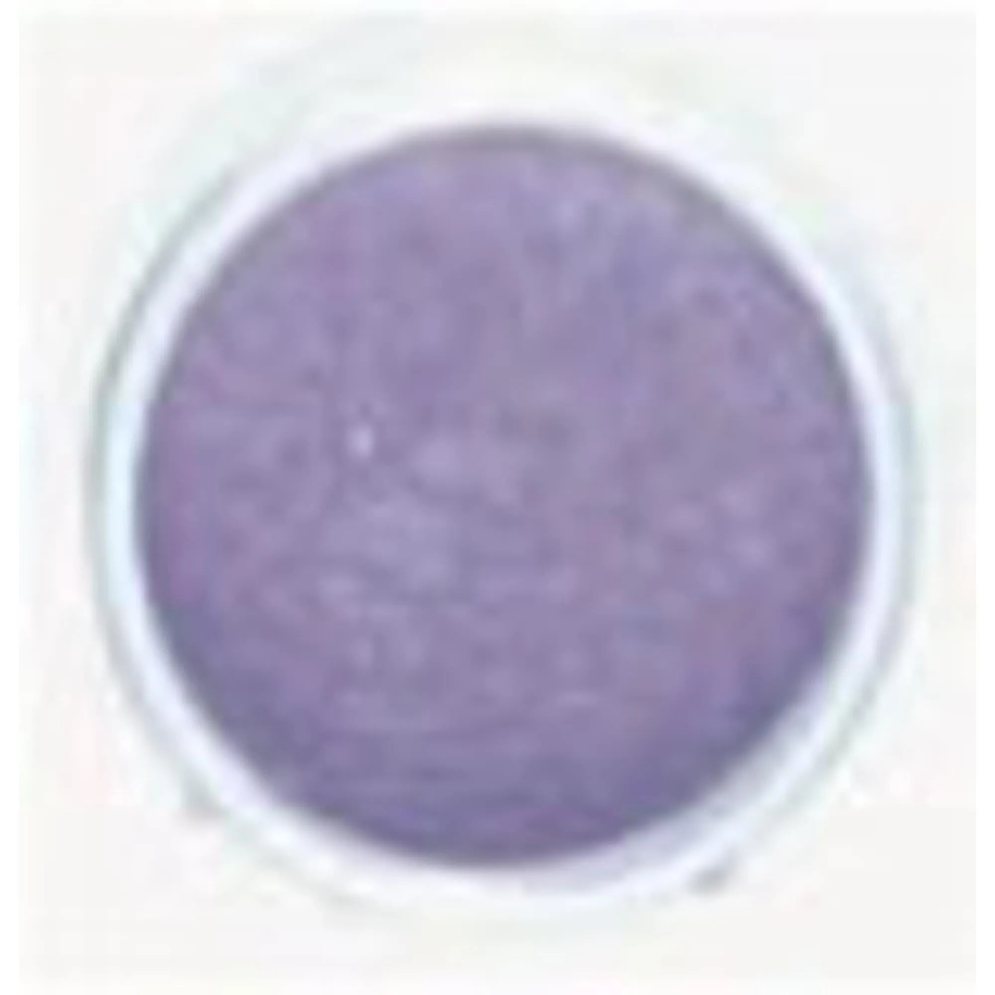 Luster Powder Orchid Odyssey.