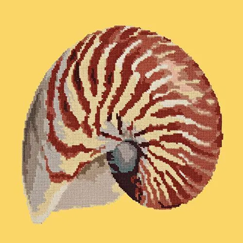 Nautilus