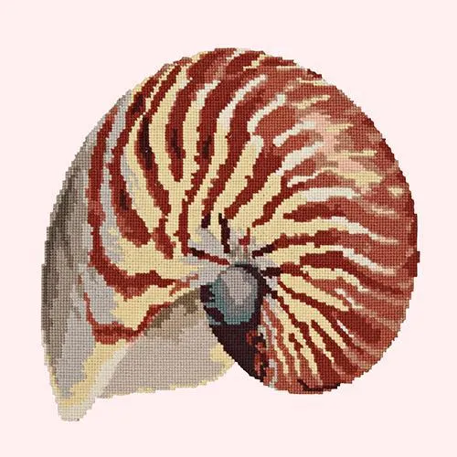Nautilus
