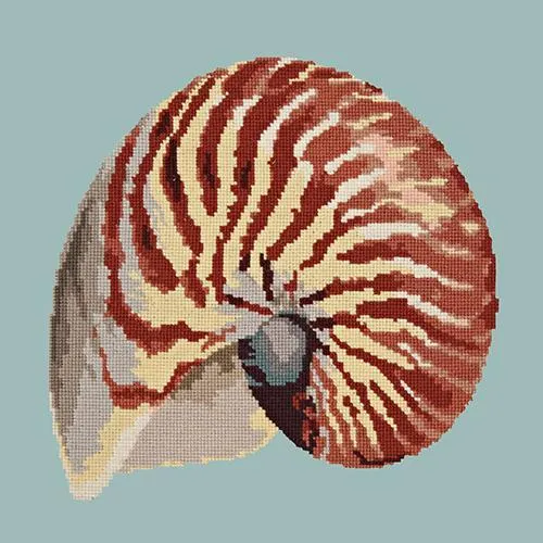 Nautilus