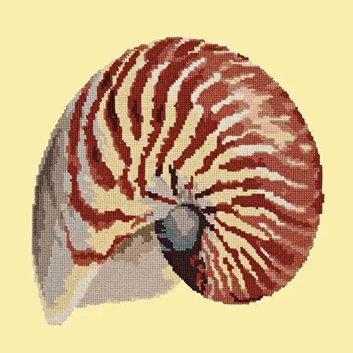 Nautilus