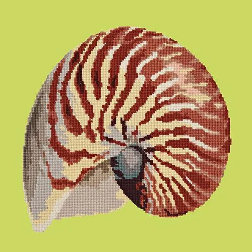 Nautilus