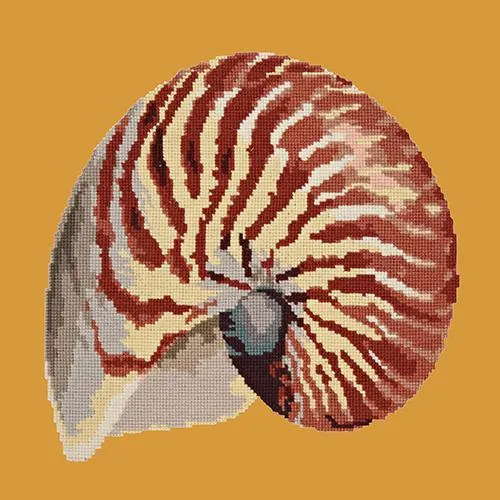 Nautilus