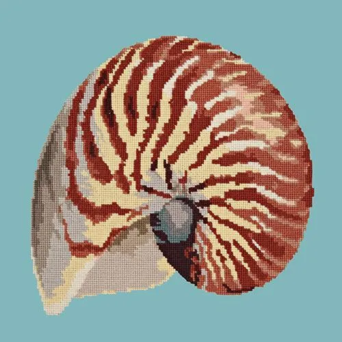 Nautilus