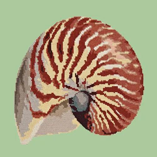 Nautilus