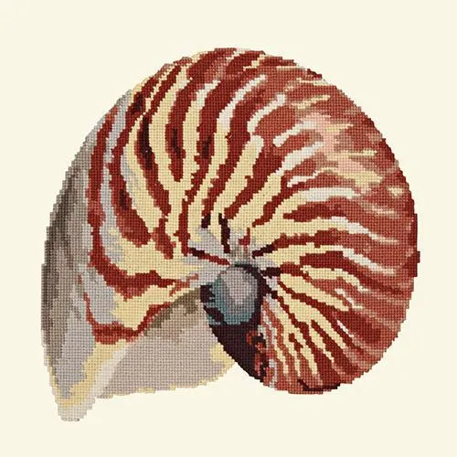 Nautilus
