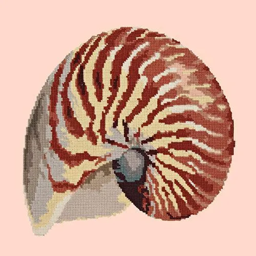 Nautilus