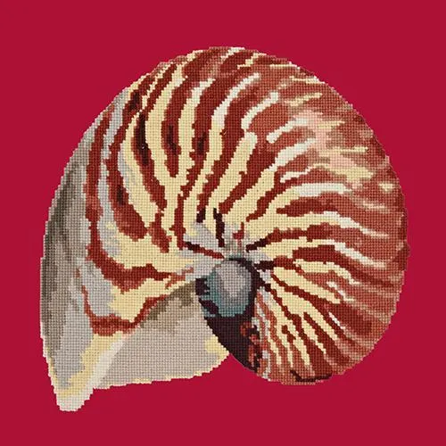 Nautilus
