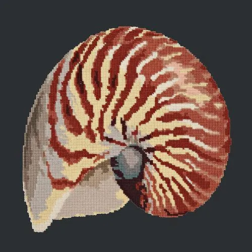 Nautilus