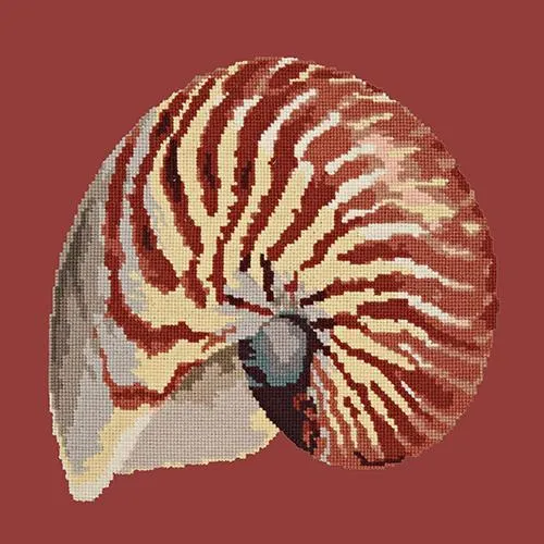 Nautilus