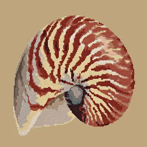 Nautilus