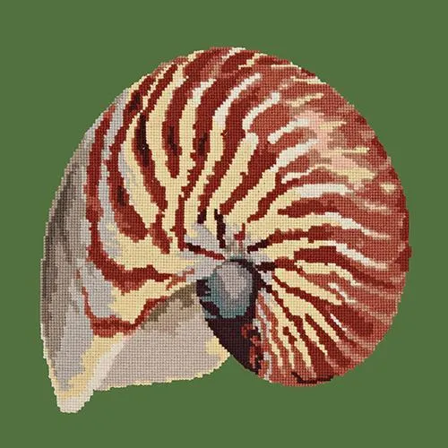 Nautilus