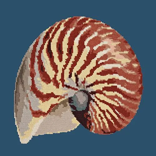Nautilus
