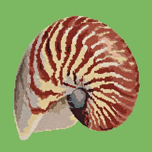 Nautilus